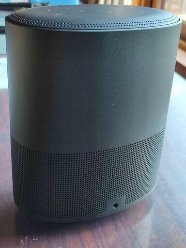 その他 BOSE HOME SPEAKER 500 BLK