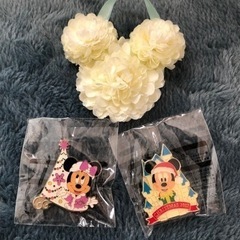 ディズニー　ピンバッジ