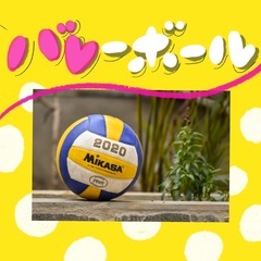 バレーボールのメンバー募集 ジモティー