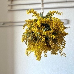 受注制作ミモザフライングリース　ミモザボール 受注制作ミモザフライングリース ミモザボール