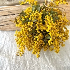 受注制作ミモザフライングリース　ミモザボール 受注制作ミモザフライングリース ミモザボール