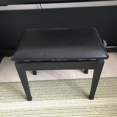 カシオ電子ピアノ PX-860BK Privia