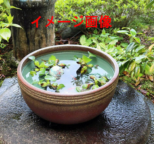 アンティーク 水かめ 丸かめ 睡蓮鉢 メダカ 金魚 養魚場をおしゃれに演出 大 Wg 洋光台のその他の中古あげます 譲ります ジモティーで不用品の処分