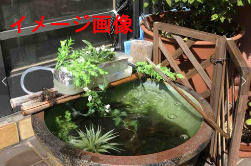 アンティーク 水かめ 丸かめ 睡蓮鉢 メダカ 金魚 養魚場をおしゃれに演出 大 Wg 洋光台のその他の中古あげます 譲ります ジモティーで不用品の処分