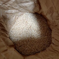 玄米6.1kg