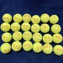 硬式テニスボール　練習球　30球