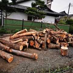 🔥原木　買い取り致します😁　広葉樹　求む🤗　キャンプ薪　薪ストーブ🔥