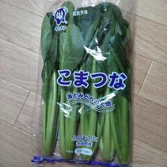 小松菜　1袋