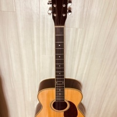 広島市内にてアコースティックギターお譲りします