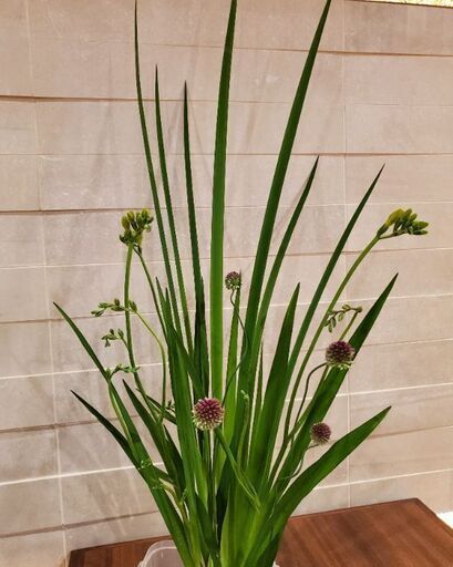 好評 生け花教室 お花と場所代のみ リンクル 大阪の華道の生徒募集 教室 スクールの広告掲示板 ジモティー 好評 生け花教室 お花と場所代のみ リンクル 大阪の華道の生徒募集 教室 スクールの広告掲示板 ジモティー