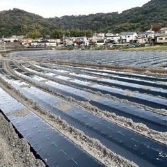 和歌山の農業を盛り上げてください！