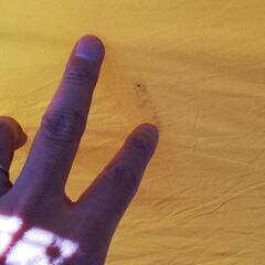 ★NORTH FACE　ワオナ6★　テント