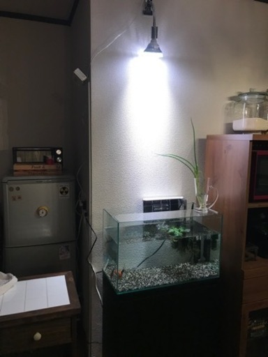 60cm水槽と水槽台、各種飼育セット