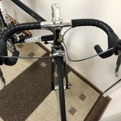 RALEIGH Carlton 500サイズ