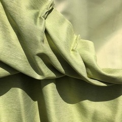 黄緑色のカーテン（ひどい汚れあり）