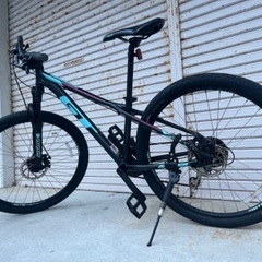 🇺🇸GT 超軽アルミフレーム　Wディスク　Fサス