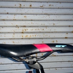 🇺🇸GT 超軽アルミフレーム　Wディスク　Fサス