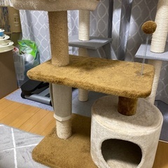 キャットタワー