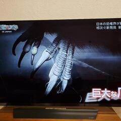 ?LG?55V型?有機EL?️‍♀️テレビ?OLED55E8PJA?4K