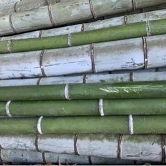 竹の伐採です