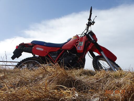 2st 125cc オフロード