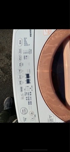 東芝ZABOON タテ型全自動洗濯機 洗濯8kg AW-D836-P | www.viva.ba