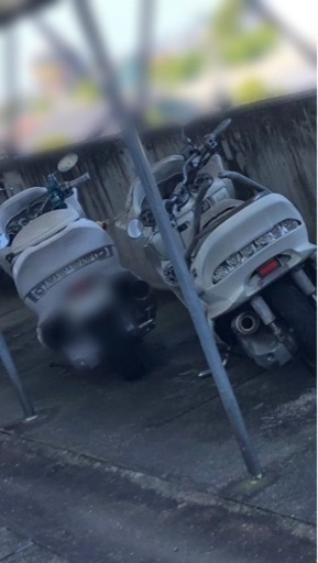 マジェスティ250cc