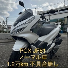 【ネット決済・配送可】神奈川 PCX125 JF81 2オーナー...