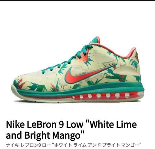[値下げ!サイズ280] 新品 ナイキ レブロン9 ロー