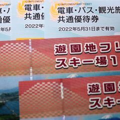 富士急ハイランドの一日フリーパスのチケット　2枚　ペアです。20...