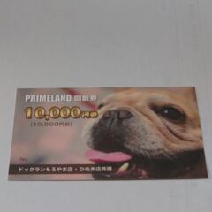 茨城県の回数券の中古が安い！激安で譲ります・無料であげます｜ジモティー 