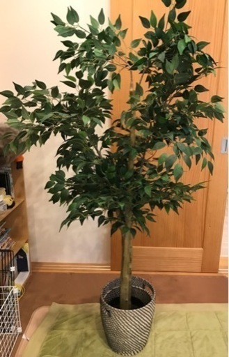 Ikea 人工観葉植物 木 フェイク グリーン チロル 鈴鹿のその他の中古あげます 譲ります ジモティーで不用品の処分