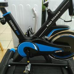 Raja fitness EXERCISE BIKE エアロバイク フィットネスバイク スピン 