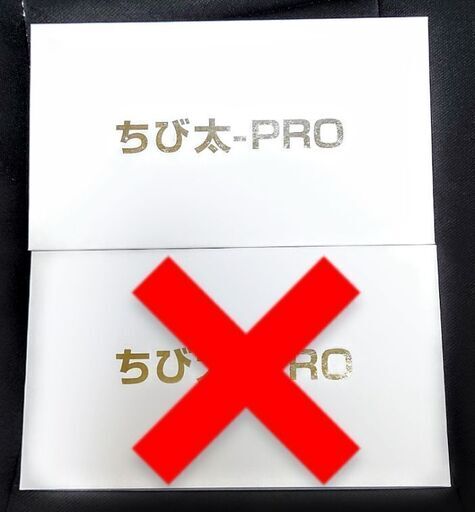 塚本無線 防犯カメラ ちび太 PRO 高画質 365万画素