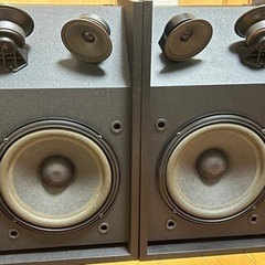 Bose 301 seri III R/L 2台セット
