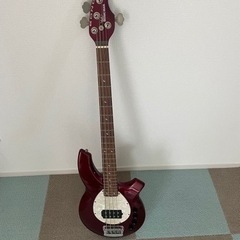 MUSIC MAN BONGO 4。中古品