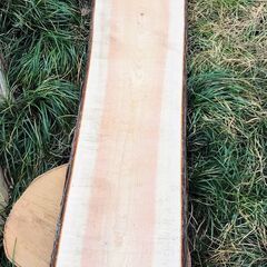 【在庫更新9/8】無垢板 DIY ヒノキ 檜 針葉樹 W1630...