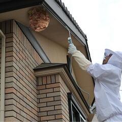 蜂の巣の駆除はお任せ下さい❗️[合同会社オサナイクリエート] - 弘前市