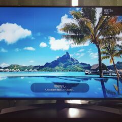 【無料】55型　液晶テレビ