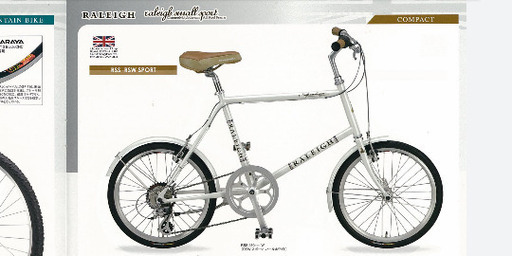 RALEIGHミニベロ&ヘルメット