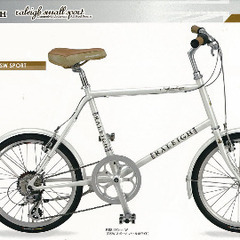 RALEIGHミニベロ&ヘルメット