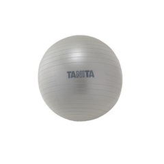 タニタ TS-962 ジムボール シルバー　エクササイズボール
