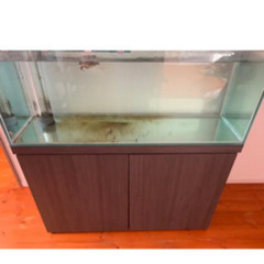 プレココーポレーション 120オーバーフロー水槽 アクアリウム