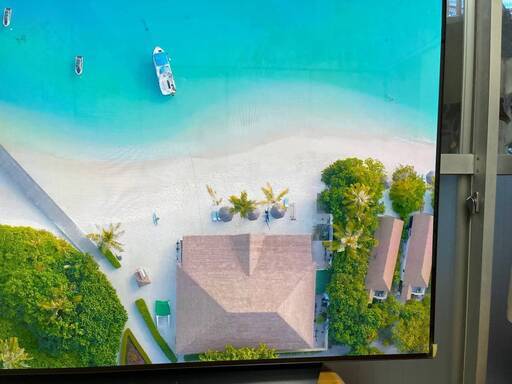 その他 LG65CX OLED(NEW)