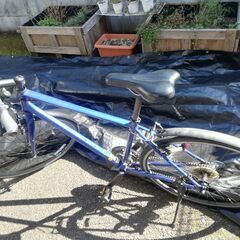 Antares クロスバイク サイズ480