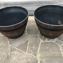 メダカの鉢　水抜きを取ると植木鉢にもなります。