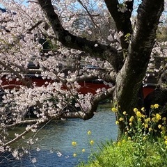 人生の不調の原因を知り即解決〜自然の力体験会〜