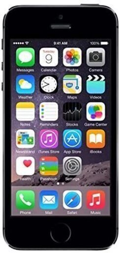 Apple iPhone 5s 64GB スペースグレイ 【docomo 白ロム】ME338J