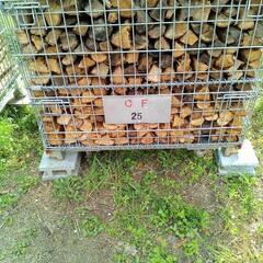 ○在庫残り1つ○クヌギコナラカシサクラミックス 35cm前後~40cm前後