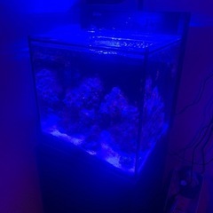 【ネット決済】Redsea maxnano一式Tetra cpx...